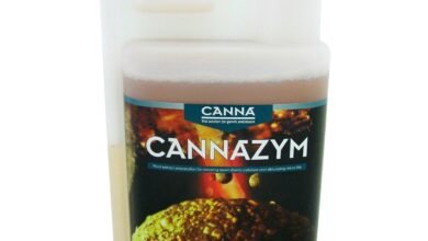 Canna Rhizotonic