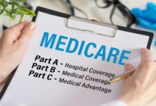 A Deep Dive into the Top Medicare Supplement Plans Available