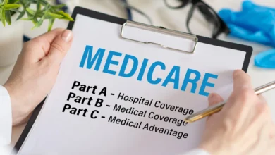 A Deep Dive into the Top Medicare Supplement Plans Available