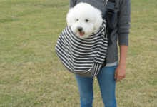 Best Small Dog Sling Carriers