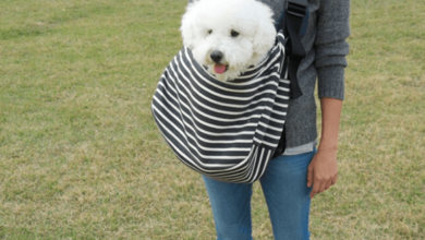 Best Small Dog Sling Carriers