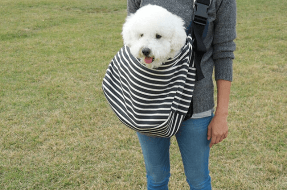 Best Small Dog Sling Carriers