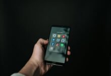 elicalistina s technical applications explored