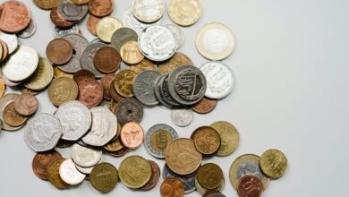 investment opportunities uncovered