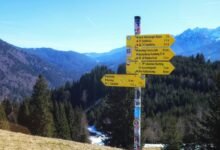 mozilla d5 2f5 download guide