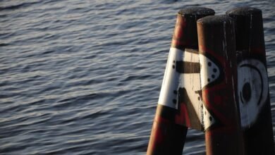 mozillad5 2f5 installation guide