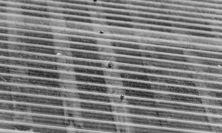 industry insights and analysis