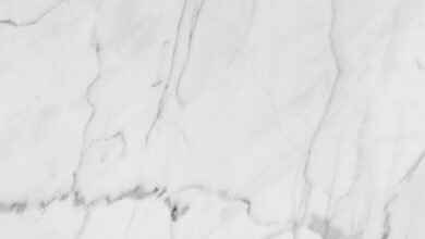 premium industry forecast overview