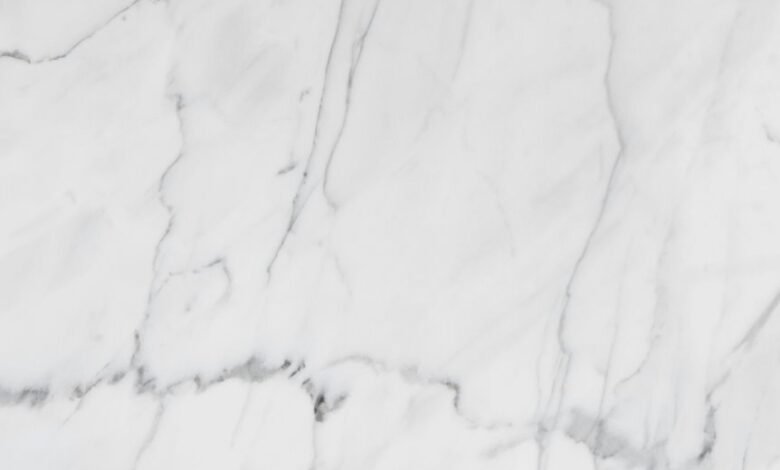 premium industry forecast overview