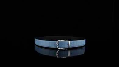 premium industry forecasts data