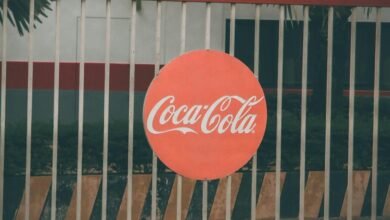 online brand authority marketing