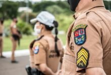 ranking power search authority