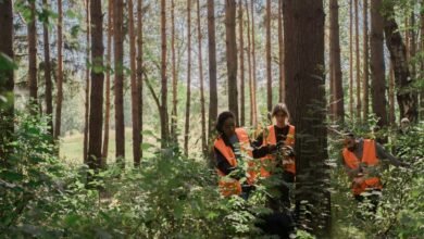 search engine optimization strategy