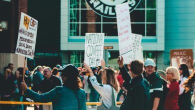 forum engagement analysis summary