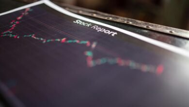 ip activity summary report