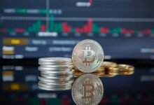 market dynamics analysis report