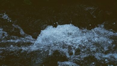 momentum edge conversion stream